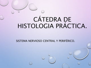 CÁTEDRA DE
HISTOLOGIA PRÁCTICA.
SISTEMA NERVIOSO CENTRAL Y PERIFÉRICO.
 