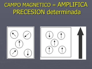 CAMPO MAGNETICO =  AMPLIFICA  PRECESION determinada 