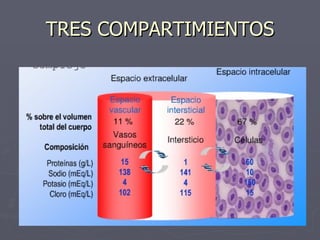 TRES COMPARTIMIENTOS 