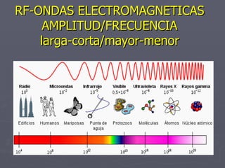 RF-ONDAS ELECTROMAGNETICAS AMPLITUD/FRECUENCIA larga-corta/mayor-menor 