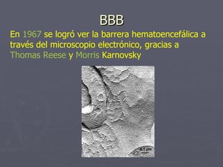 BBB En  1967  se logró ver la barrera hematoencefálica a través del microscopio electrónico, gracias a  Thomas Reese  y  M...