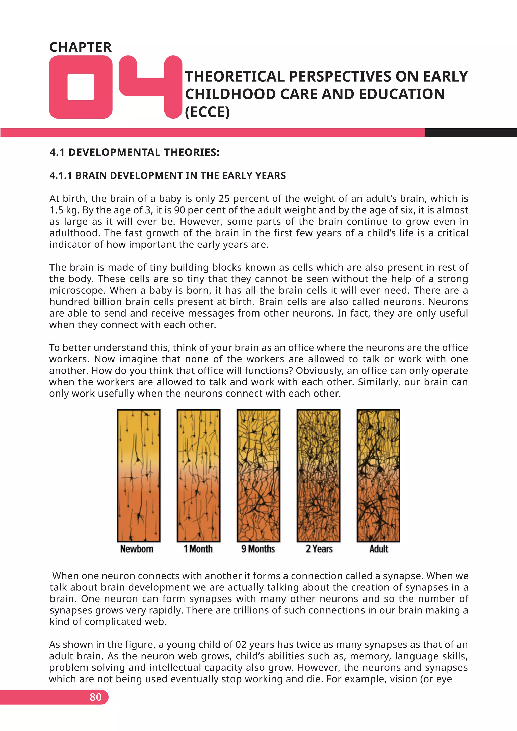 80
CHAPTER
THEORETICAL PERSPECTIVES ON EARLY
CHILDHOOD CARE AND EDUCATION
(ECCE)
4.1 DEVELOPMENTAL THEORIES:
4.1.1 BRAIN DEVELOPMENT IN THE EARLY YEARS
At birth, the brain of a baby is only 25 percent of the weight of an adult’s brain, which is
1.5 kg. By the age of 3, it is 90 per cent of the adult weight and by the age of six, it is almost
as large as it will ever be. However, some parts of the brain continue to grow even in
adulthood. The fast growth of the brain in the first few years of a child’s life is a critical
indicator of how important the early years are.
The brain is made of tiny building blocks known as cells which are also present in rest of
the body. These cells are so tiny that they cannot be seen without the help of a strong
microscope. When a baby is born, it has all the brain cells it will ever need. There are a
hundred billion brain cells present at birth. Brain cells are also called neurons. Neurons
are able to send and receive messages from other neurons. In fact, they are only useful
when they connect with each other.
To better understand this, think of your brain as an office where the neurons are the office
workers. Now imagine that none of the workers are allowed to talk or work with one
another. How do you think that office will functions? Obviously, an office can only operate
when the workers are allowed to talk and work with each other. Similarly, our brain can
only work usefully when the neurons connect with each other.
When one neuron connects with another it forms a connection called a synapse. When we
talk about brain development we are actually talking about the creation of synapses in a
brain. One neuron can form synapses with many other neurons and so the number of
synapses grows very rapidly. There are trillions of such connections in our brain making a
kind of complicated web.
As shown in the figure, a young child of 02 years has twice as many synapses as that of an
adult brain. As the neuron web grows, child’s abilities such as, memory, language skills,
problem solving and intellectual capacity also grow. However, the neurons and synapses
which are not being used eventually stop working and die. For example, vision (or eye
 