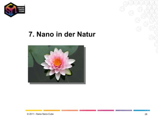 7. Nano in der Natur 