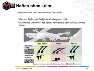 Haften ohne Leim Geckos finden auf fast jedem Untergrund Halt. Durch das „Abrollen“ der Zehen können sie den Kontakt wieder lösen.  oder warum der Gecko nicht von der Decke fällt. Quelle: www.max-wissen.de/Fachwissen/show/0/Didaktik/Bionik.html 