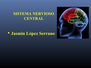  Jasmin López Serrano
SISTEMA NERVIOSO
CENTRAL
 