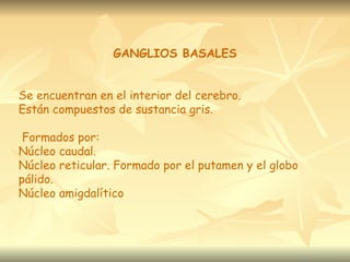 GANGLIOS BASALES


Se encuentran en el interior del cerebro.
Están compuestos de sustancia gris.

 Formados por:
Núcleo caudal.
Núcleo reticular. Formado por el putamen y el globo
pálido.
Núcleo amigdalítico
 