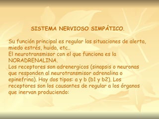 SISTEMA NERVIOSO SIMPÁTICO.

Su función principal es regular las situaciones de alerta,
miedo estrés, huida, etc..
El neurotransmisor con el que funciona es la
NORADRENALINA.
Los receptores son adrenergicos (sinapsis o neuronas
que responden al neurotransmisor adrenalina o
epinefrina). Hay dos tipos: a y b (b1 y b2). Los
receptores son los causantes de regular a los órganos
que inervan produciendo:
 