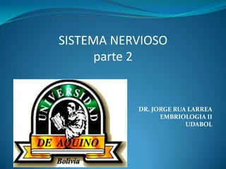 SISTEMA NERVIOSO
parte 2
DR. JORGE RUA LARREA
EMBRIOLOGIA II
UDABOL
 