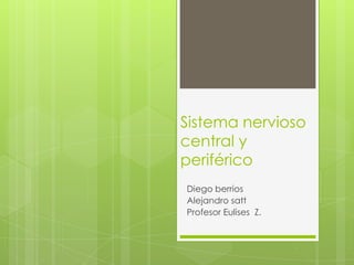 Sistema nervioso
central y
periférico
Diego berrios
Alejandro satt
Profesor Eulises Z.
 