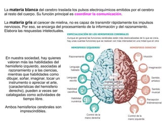 La materia blanca del cerebro traslada los pulsos electroquímicos emitidos por el cerebro
al resto del cuerpo. Su función principal es coordinar la comunicación.
La materia gris al carecer de mielina, no es capaz de transmitir rápidamente los impulsos
nerviosos. Por eso, se encarga del procesamiento de la información y del razonamiento.
Elabora las respuestas intelectuales.
En nuestra sociedad, hay quienes
valoran más las habilidades del
hemisferio izquierdo, asociadas al
razonamiento y a las ciencias,
mientras que habilidades como
dibujar, soñar, imaginar, tocar un
instrumento o apreciar el arte,
(características del hemisferio
derecho), pueden a veces ser
catalogadas como actividades de
tiempo libre.
Ambos hemisferios cerebrales son
imprescindibles.
 