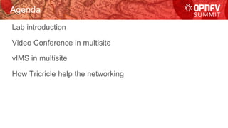Agenda
Lab introduction
Video Conference in multisite
vIMS in multisite
How Tricricle help the networking
 