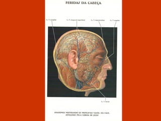 Según la mancha que vemos en la SS, junto a uno de los parches cosidos por las clarisas,  