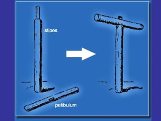 En la imagen dorsal:  se ve a la altura de los riñones otra mancha de sangre bastante ancha, a la der., y después se divide en reguerillos, cundo se acerca al lado izq. del tronco. Lo curioso de esta mancha es que es transversal. ¿Qué puede haber ocurrido?   