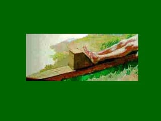 Estas se superponen a varias llagas de la flagelación, que están como aplastadas y alargadas, respecto de las contiguas   