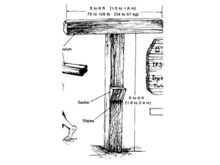 Evidentemente el patibulum ha frotado la zona y ha reabierto las llagas de la flagelación. 