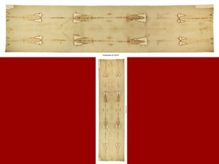 Este descubrimiento insólito fue el inicio de los estudios científicos sobre la SS, y la causa de posteriores exposiciones con el fin de ser fotografiada y estudiada en detalle   