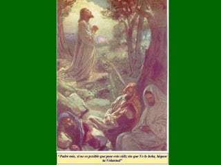 Como no todas son claras, varía la estimación de los sindonólogos, pero se puede establecer un promedio de 100 golpes.  