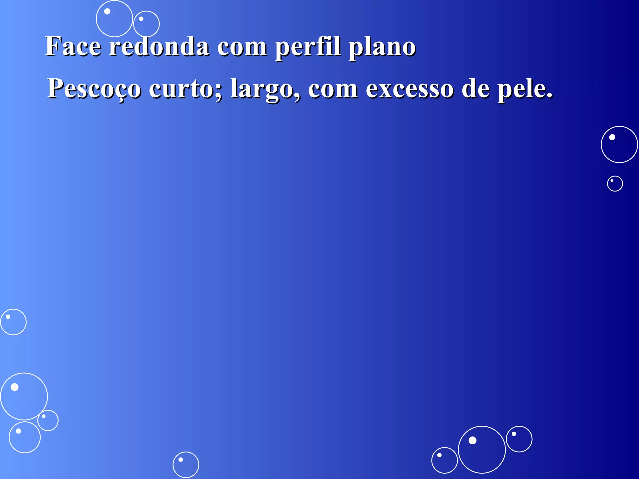 Pescoço curto; largo, com excesso de pele. Face redonda com perfil plano 