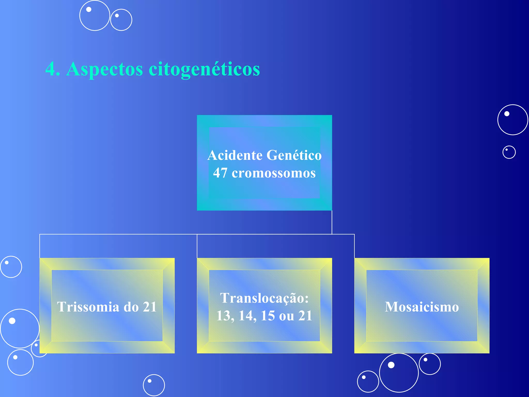 4. Aspectos citogenéticos Acidente Genético 47 cromossomos Trissomia do 21 Translocação: 13, 14, 15 ou 21 Mosaicismo 