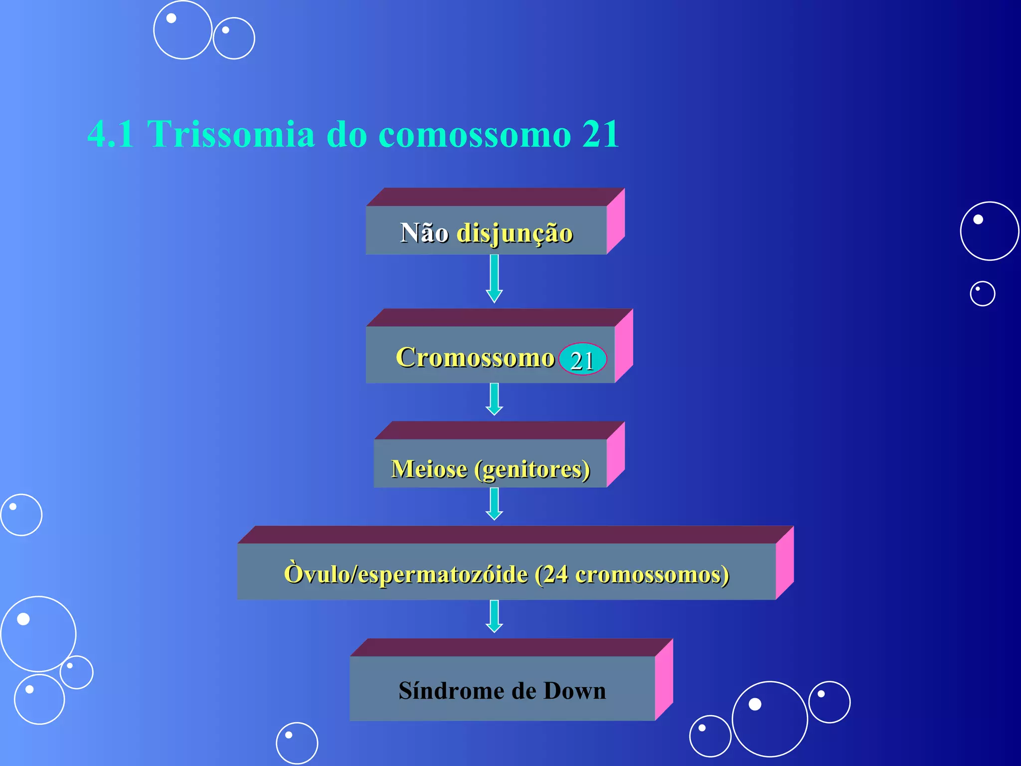 4.1 Trissomia do comossomo 21  Não  disjunção Cromossomo   Meiose   (genitores) Òvulo/espermatozóide   (24 cromossomos) Síndrome de Down 21 