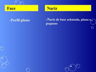 Face -Perfil plano Nariz -N ariz de base achatada, plana e pequeno 