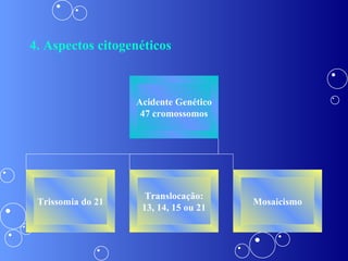 4. Aspectos citogenéticos Acidente Genético 47 cromossomos Trissomia do 21 Translocação: 13, 14, 15 ou 21 Mosaicismo 