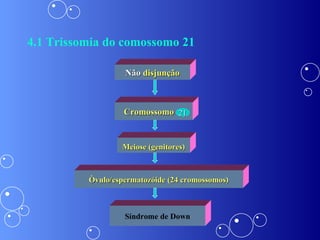 4.1 Trissomia do comossomo 21  Não  disjunção Cromossomo   Meiose   (genitores) Òvulo/espermatozóide   (24 cromossomos) Síndrome de Down 21 