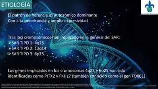 ETIOLOGÍA
El patrón de herencia es autosómico dominante
Con alta penetrancia y amplia expresividad
Tres loci cromosómicos han implicado en la génesis del SAR:
SAR TIPO 1: 4q25
SAR TIPO 2: 13q14
SAR TIPO 3: 6p25.
Los genes implicados en los cromosomas 4q25 y 6p25 han sido
identificados como PITX2 y FKHL7 (también conocido como el gen FOXC1)
 