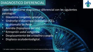 DIAGNOSTICO DIFERENCIAL
Debe establecerse diagnostico diferencial con las siguientes
patologías:
• Glaucoma congénito primario
• Síndrome Iridocorneal Endotelial (ICE).
• La anomalía de Peter.
• Aniridia (hipoplasia del iris).
• Ectroprión uveal congénita.
• Desplazamiento del cristalino y pupila.
• Displasia oculodentodigital.
T. W. Sadler. Langman: Embriologia Medica Edición 12, ilustrada Lippincott Williams & Wilkins, 2012 pp 390-398
 