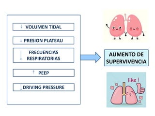 FRECUENCIAS
RESPIRATORIAS
VOLUMEN TIDAL
PRESION PLATEAU
DRIVING PRESSURE
PEEP
AUMENTO DE
SUPERVIVENCIA
 
