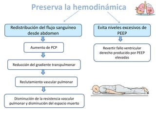 Preserva la hemodinámica
Redistribución del flujo sanguíneo
desde abdomen
Aumento de PCP
Reducción del gradiente transpulmonar
Reclutamiento vascular pulmonar
Disminución de la resistencia vascular
pulmonar y disminución del espacio muerto
Evita niveles excesivos de
PEEP
Revertir fallo ventricular
derecho producido por PEEP
elevadas
 