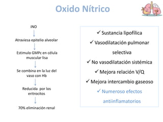 Oxido Nítrico
 Sustancia lipofílica
 Vasodilatación pulmonar
selectiva
 No vasodilatación sistémica
 Mejora relación V/Q
 Mejora intercambio gaseoso
 Numeroso efectos
antiinflamatorios
iNO
Atraviesa epitelio alveolar
Estimulo GMPc en célula
muscular lisa
Se combina en la luz del
vaso con Hb
Reducida por los
eritrocitos
70% eliminación renal
 