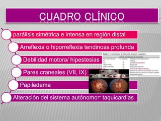CUADRO CLÍNICO
parálisis simétrica e intensa en región distal
Arreflexia o hiporreflexia tendinosa profunda
Debilidad motora/ hipestesias
Pares craneales (VII, IX)
Papiledema
Alteración del sistema autónomo= taquicardias
 