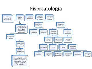 Fisiopatología
Aumento de
glucocortides.
Baja PI - 3
kinasa.
Reducción de
translocación de
GLUT - 4 a la
membrana
plasmática.
crecimiento
celular
Superviven
cia celular y
Tráfico
intracelular
.
interactuando como
sustrato del receptor de
insulina con el fin de
regular la entrada
de glucosa.
Factores
genéticos.
Baja de
receptores
de insulina.
Resistencia
a la
insulina
Hiperglicem
ia.
Falla renal Diabetes
Hipoglicemi
a celular.
Glicolisis
anaerobia.
Daño
celular.
Inflamación
Fibrinógeno IL-6 FNT-α
Lipolisis.
Angiogéne
sis.
Disfunción
endotelial.
vasoconstri
cción.
fibrinólisis.
Resistencia
a la
insulina.
Proteína C
reacticva
B-
oxidación.
Hiperleptin
emia
 