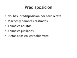 Predisposición
• No hay predisposición por sexo o raza.
• Machos y hembras castrados.
• Animales adultos.
• Animales jubilados.
• Dietas altas en carbohidratos.
 