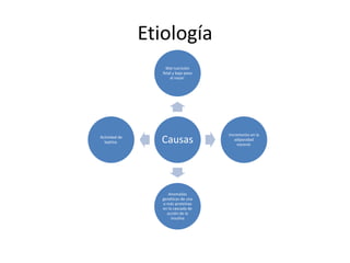 Etiología
Causas
Mal nutrición
fetal y bajo peso
al nacer.
Incremento en la
adiposidad
visceral.
Anomalías
genéticas de una
o más proteínas
en la cascada de
acción de la
insulina
Actividad de
leptina.
 