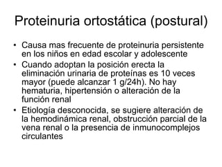 Proteinuria ortostática (postural) Causa mas frecuente de proteinuria persistente en los niños en edad escolar y adolescente Cuando adoptan la posición erecta la eliminación urinaria de proteínas es 10 veces mayor (puede alcanzar 1 g/24h). No hay hematuria, hipertensión o alteración de la función renal Etiología desconocida, se sugiere alteración de la hemodinámica renal, obstrucción parcial de la vena renal o la presencia de inmunocomplejos circulantes  