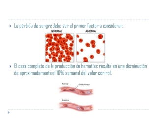 

La pérdida de sangre debe ser el primer factor a considerar.



El cese completo de la producción de hematíes resulta en una disminución
de aproximadamente el 10% semanal del valor control.

 