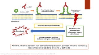 SÍNDROME ANTICUERPOS ANTIFOSFOLÍPIDOS.pptx