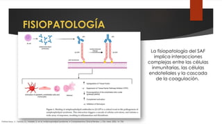 SÍNDROME ANTICUERPOS ANTIFOSFOLÍPIDOS.pptx