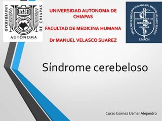 UNIVERSIDAD AUTONOMA DE
          CHIAPAS

FACULTAD DE MEDICINA HUMANA

 Dr MANUEL VELASCO SUAREZ




Síndrome cerebeloso


                     Corzo Gómez Usmar Alejandro
 
