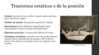 Trastornos estáticos o de la posición
• Astasia: paciente de pie oscila y separa ambas piernas
para sostenerse mejor.
• Temblor de actitud: de pequeña amplitud y rápido.
• Desviaciones: hacia adelante (propulsión), atrás
(retropulsión), hacia los lados (lateropulsión).
• Hipotonía muscular: es menor del lado de la lesión.
• Catalepsia cerebelosa: pacientes con este padecimiento
toleran más la posición de los muslos a 90° sobre la
pelvis y las piernas en ángulo recto con respecto a los
muslos.
Catalepsia cerebelosa
 