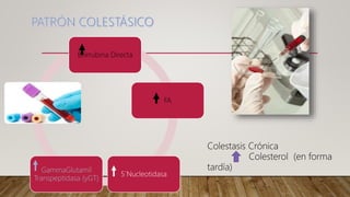 Bilirrubina Directa
FA
5`Nucleotidasa
GammaGlutamil
Transpeptidasa (yGT)
Colestasis Crónica
Colesterol (en forma
tardía)
 