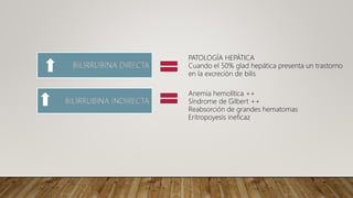 BILIRRUBINA DIRECTA
BILIRRUBINA INDIRECTA
PATOLOGÍA HEPÁTICA
Cuando el 50% glad hepática presenta un trastorno
en la excreción de bilis
Anemia hemolítica ++
Síndrome de Gilbert ++
Reabsorción de grandes hematomas
Eritropoyesis ineficaz
 