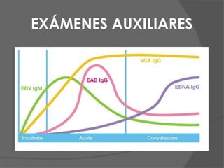EXÁMENES AUXILIARES
 