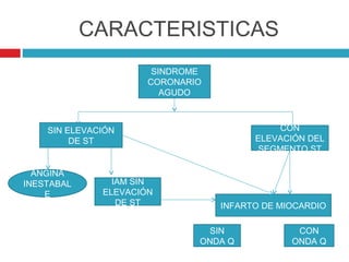 CARACTERISTICAS
                       SINDROME
                      CORONARIO
                         AGUDO



    SIN ELEVACIÓN                           CON
         DE ST                          ELEVACIÓN DEL
                                        SEGMENTO ST

  ANGINA
INESTABAL       IAM SIN
    E         ELEVACIÓN
                 DE ST            INFARTO DE MIOCARDIO

                                SIN             CON
                              ONDA Q           ONDA Q
 
