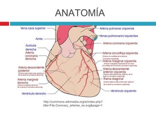 ANATOMÍA




http://commons.wikimedia.org/w/index.php?
title=File:Coronary_arteries_es.svg&page=1
 
