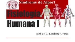 Fisiología
Humana I
Edith del C. Escalante Alvarez
 