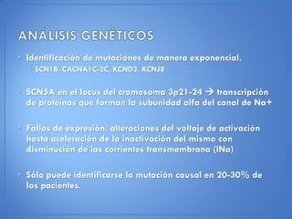 • Identificación de mutaciones de manera exponencial.
  • SCN1B, CACNA1C-2C, KCND3, KCNJ8

• SCN5A en el locus del cromosoma 3p21-24  transcripción
  de proteínas que forman la subunidad alfa del canal de Na+

• Fallos de expresión, alteraciones del voltaje de activación
  hasta aceleración de la inactivación del mismo con
  disminución de las corrientes transmembrana (INa)

• Sólo puede identificarse la mutación causal en 20-30% de
  los pacientes.
 
