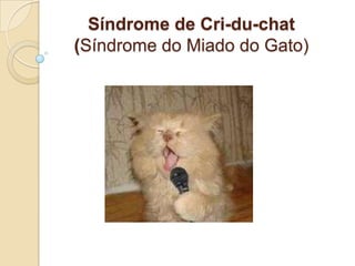 Síndrome de Cri-du-chat
(Síndrome do Miado do Gato)
 